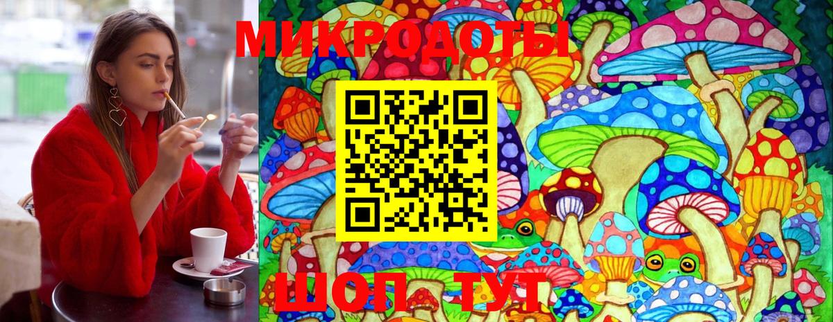 Галлюциногенные грибы мухоморы  Вход с VPN  Холмск 